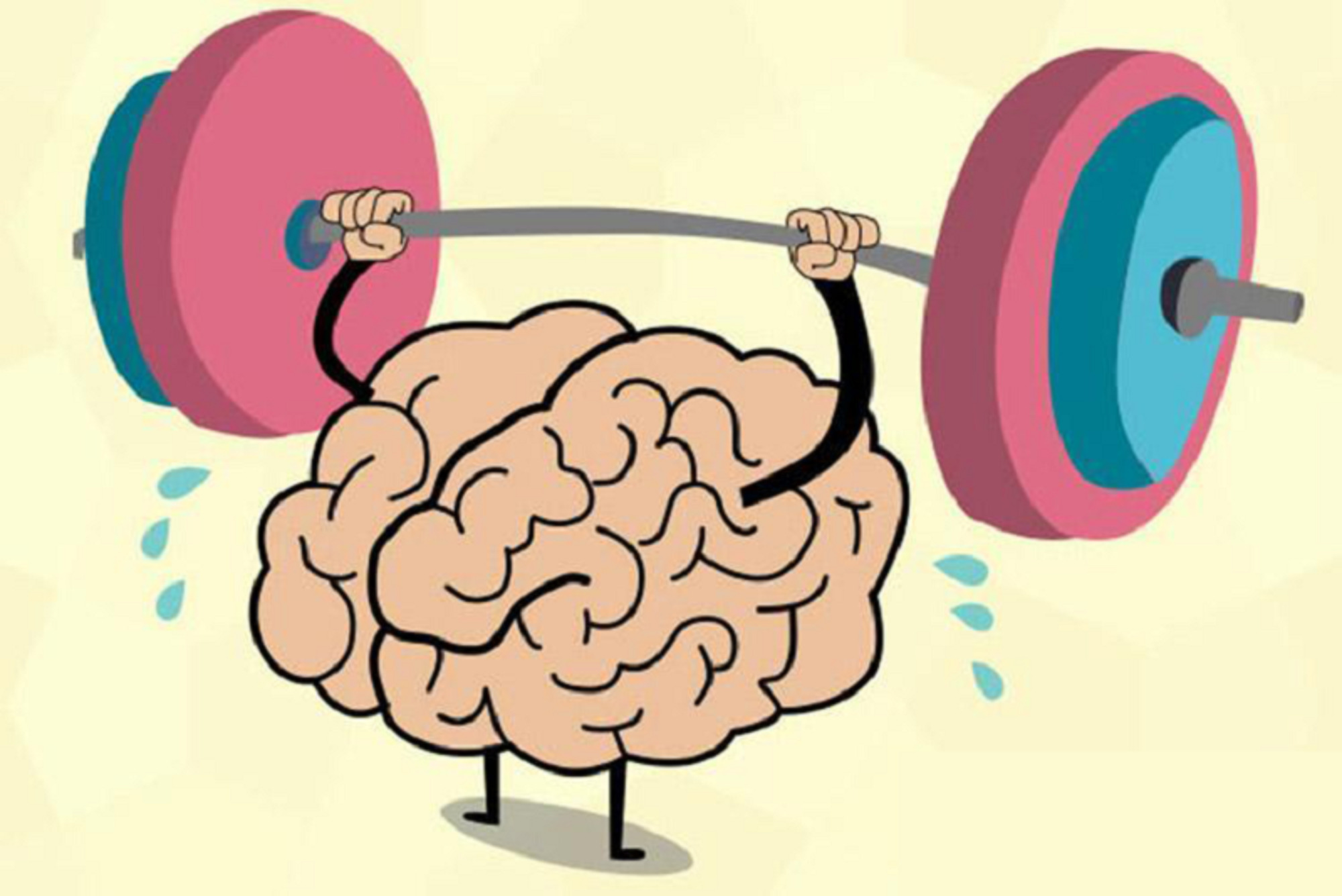  بخشی شناختی